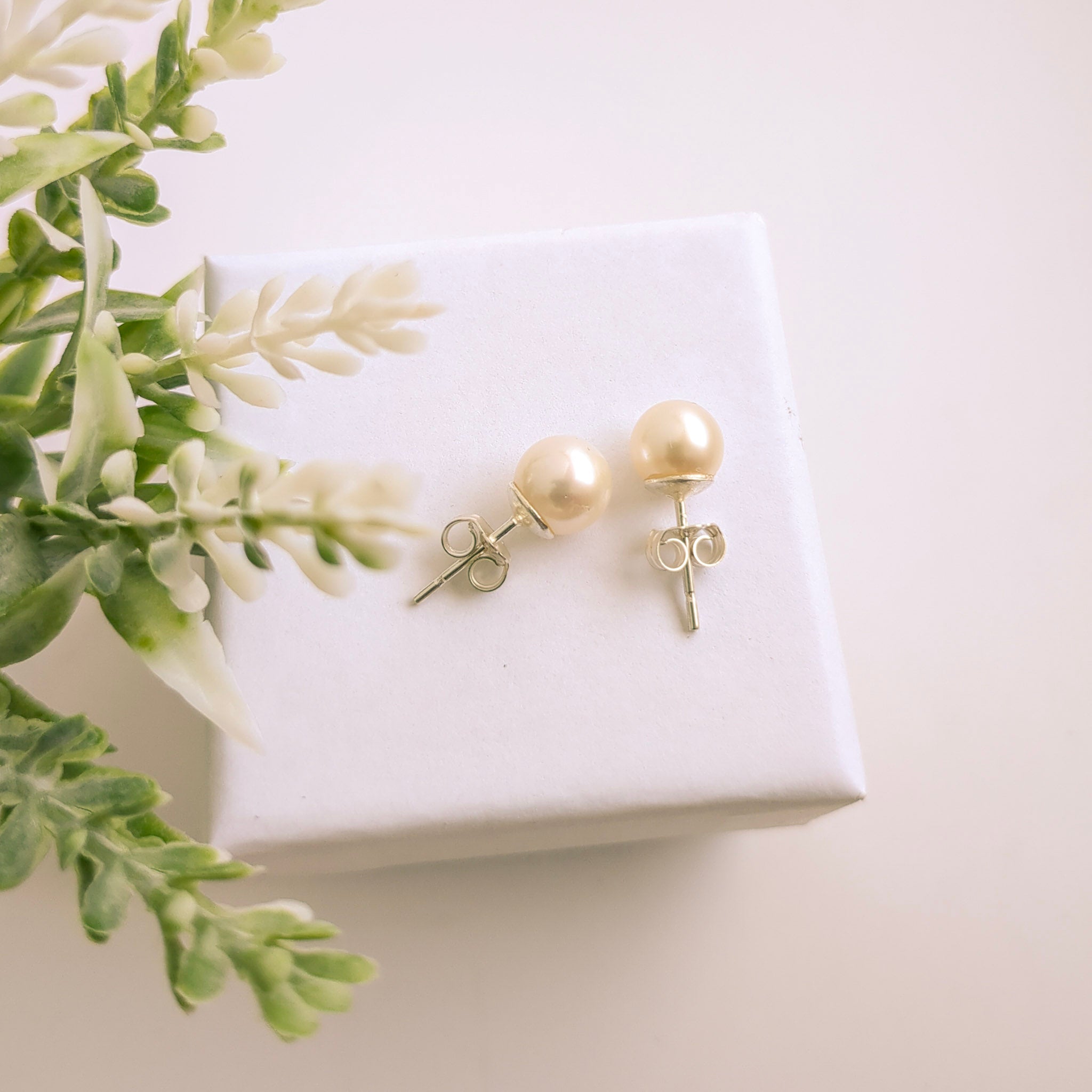 Freshwater Pearl Stud Earrings - Watermeadow Lane Jewellery